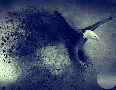 portfolio image template