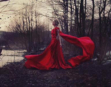 portfolio image template